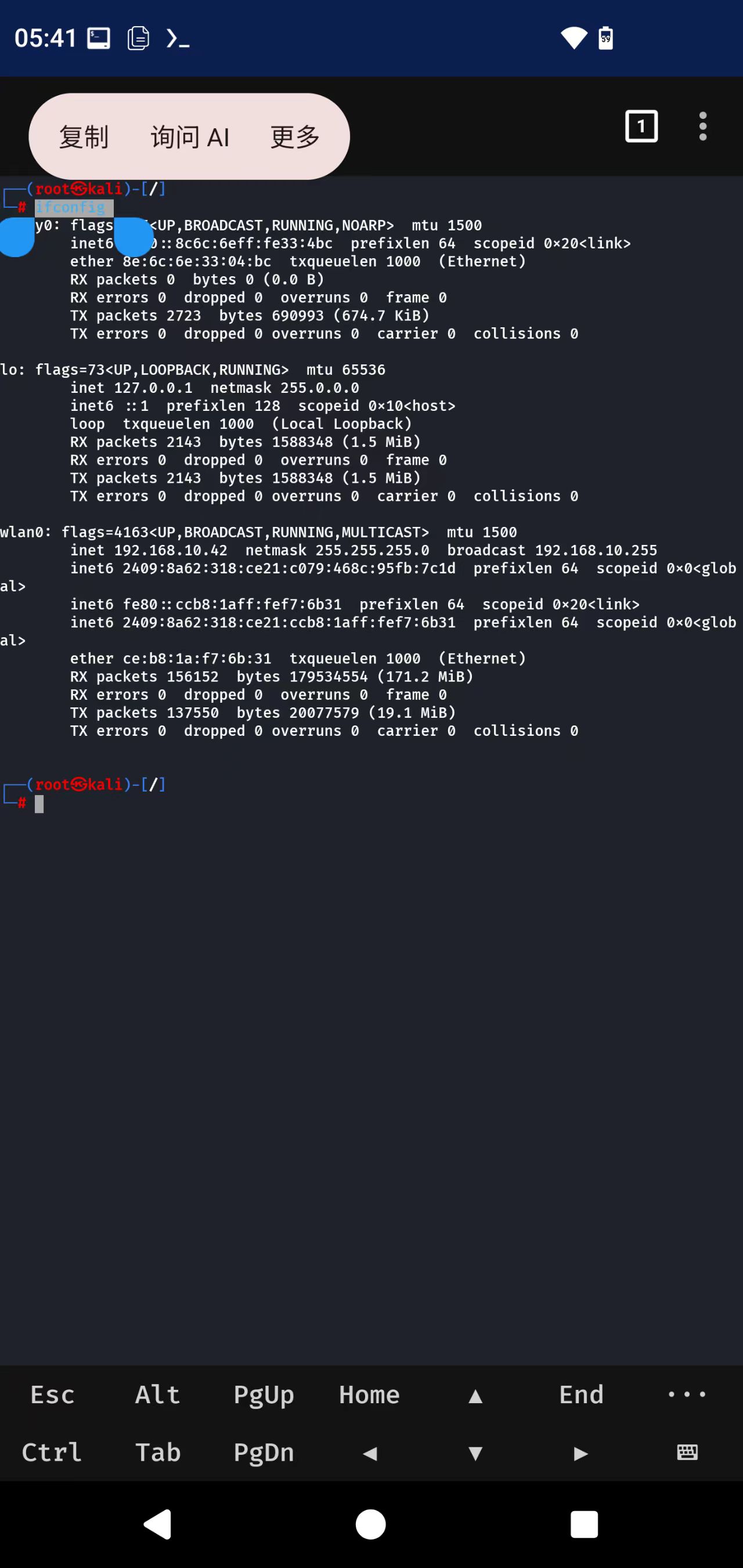 NetHunter Terminal Screenshot 1