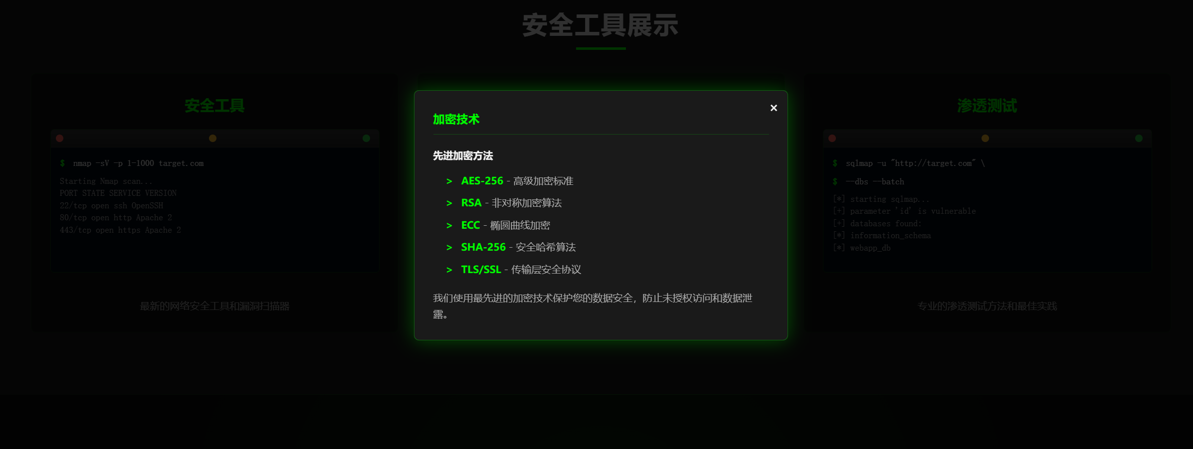 高级网络安全情报搜集平台 截图3