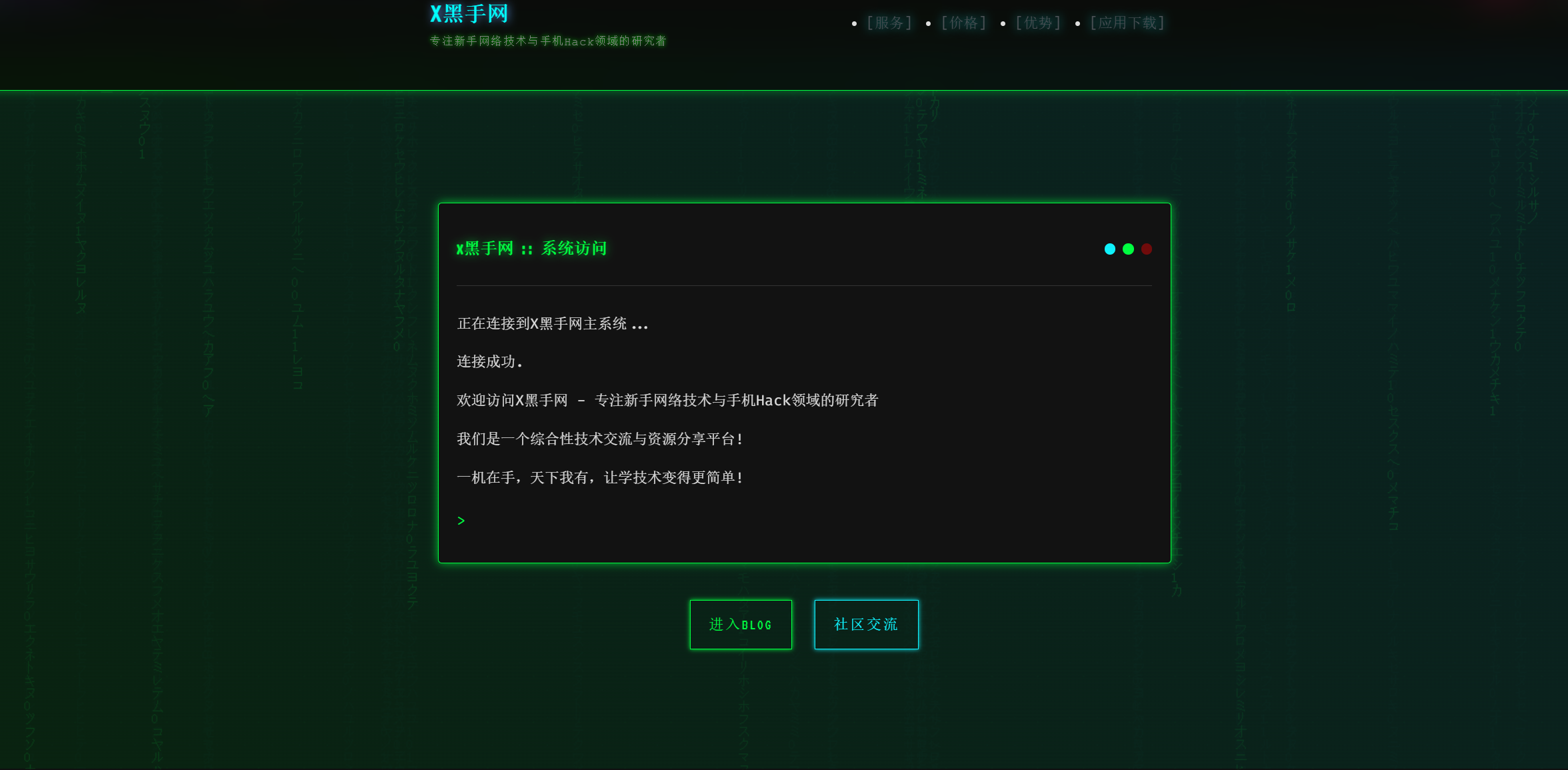 高级网络安全情报搜集平台 截图4